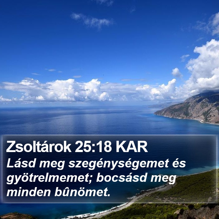 Zsoltárok 25:18 KAR Bible Study