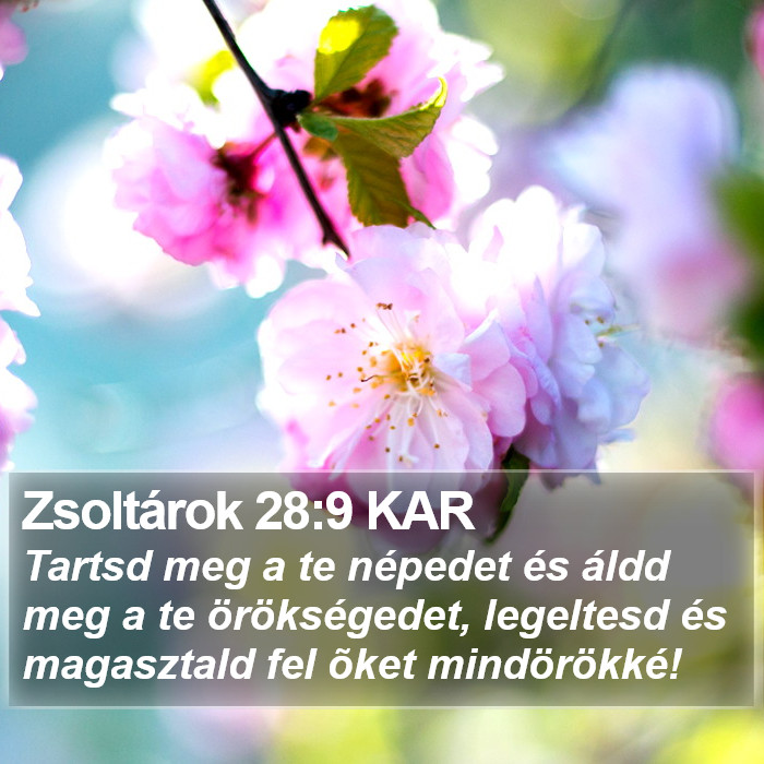 Zsoltárok 28:9 KAR Bible Study