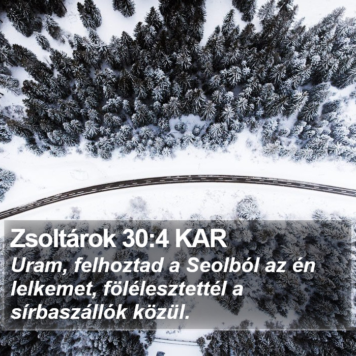 Zsoltárok 30:4 KAR Bible Study