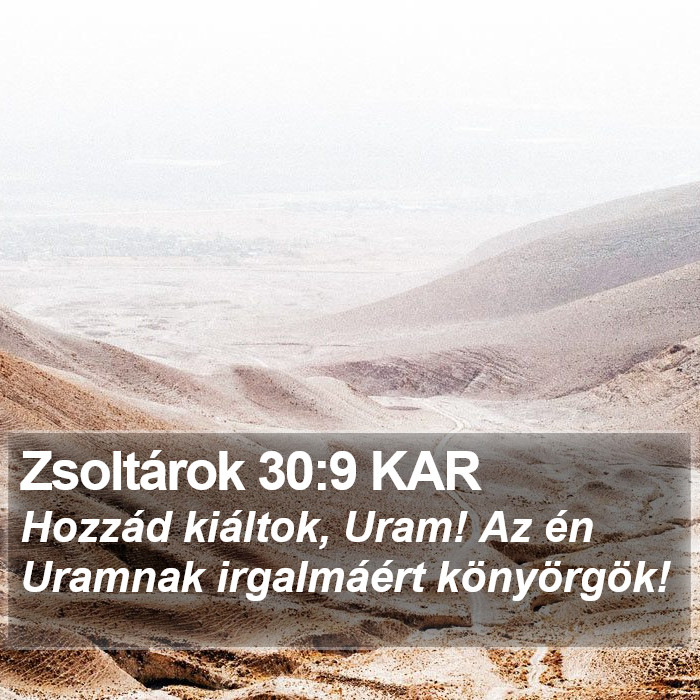 Zsoltárok 30:9 KAR Bible Study