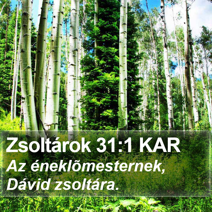 Zsoltárok 31:1 KAR Bible Study