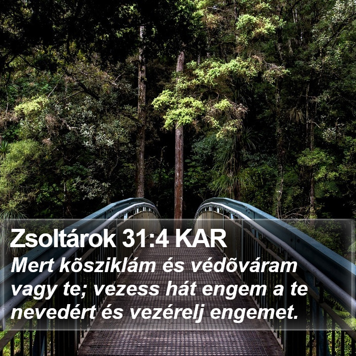 Zsoltárok 31:4 KAR Bible Study