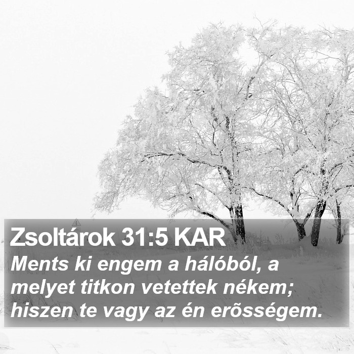 Zsoltárok 31:5 KAR Bible Study