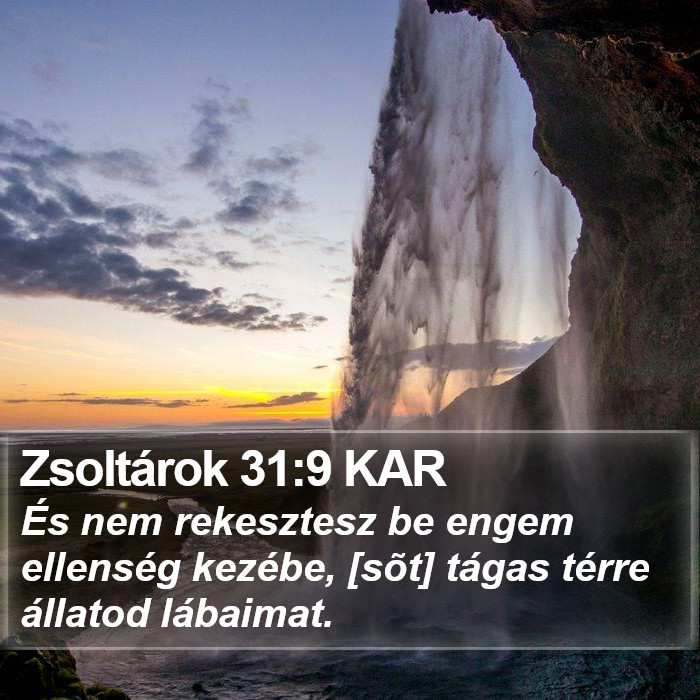 Zsoltárok 31:9 KAR Bible Study