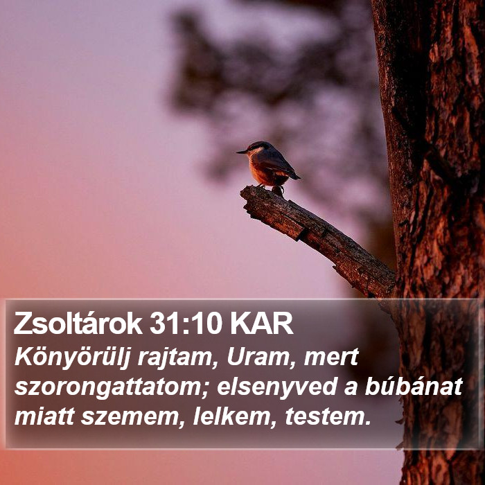 Zsoltárok 31:10 KAR Bible Study