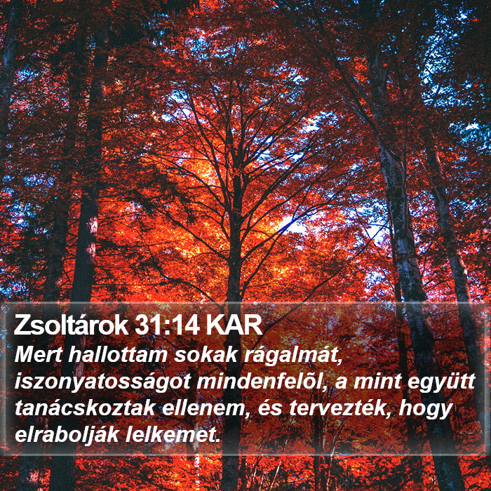 Zsoltárok 31:14 KAR Bible Study