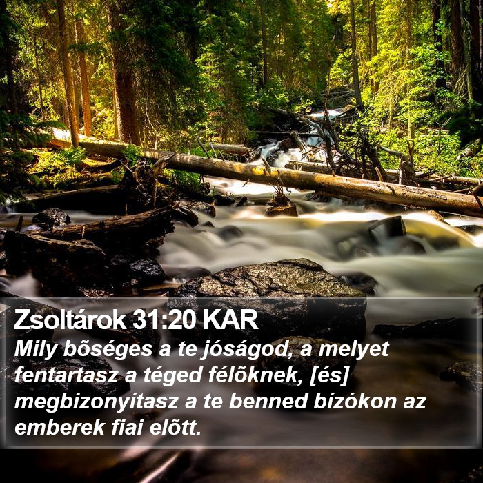 Zsoltárok 31:20 KAR Bible Study