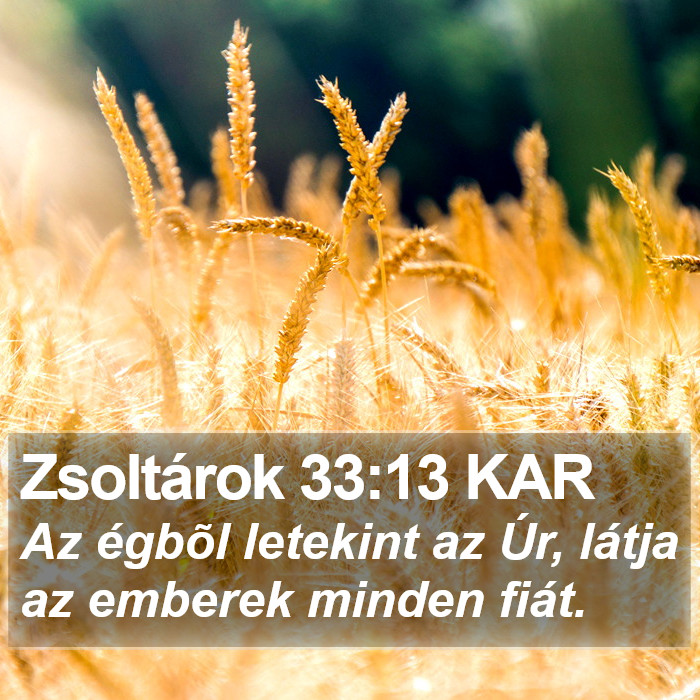 Zsoltárok 33:13 KAR Bible Study