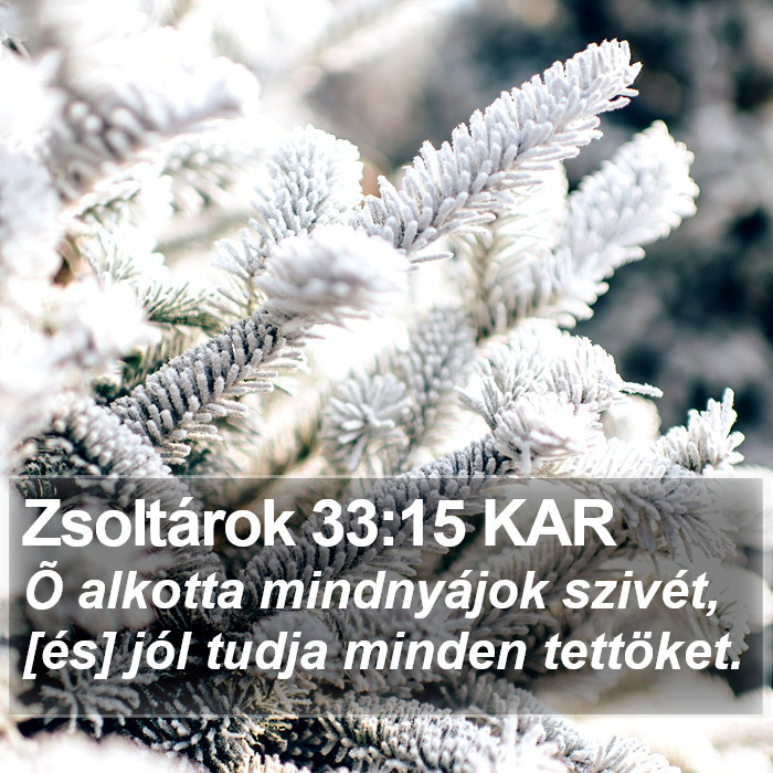 Zsoltárok 33:15 KAR Bible Study