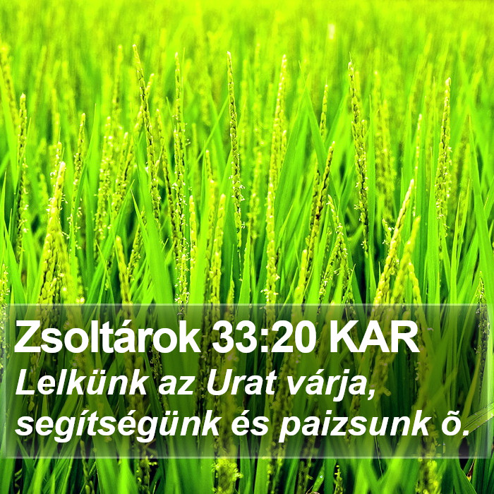 Zsoltárok 33:20 KAR Bible Study