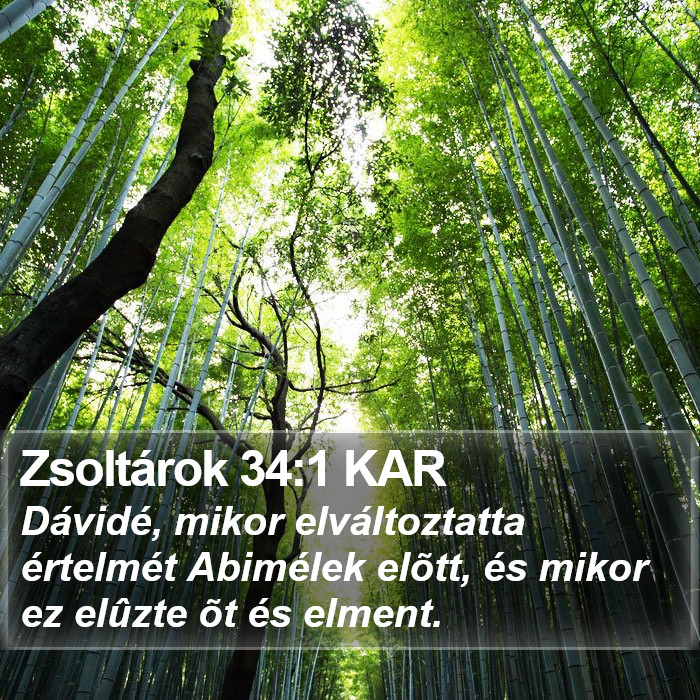 Zsoltárok 34:1 KAR Bible Study