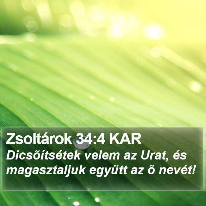 Zsoltárok 34:4 KAR Bible Study