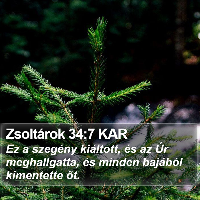 Zsoltárok 34:7 KAR Bible Study