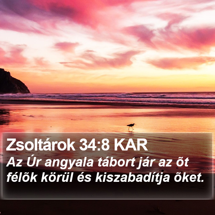 Zsoltárok 34:8 KAR Bible Study