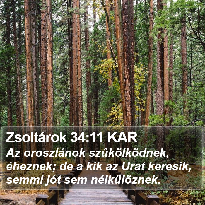 Zsoltárok 34:11 KAR Bible Study