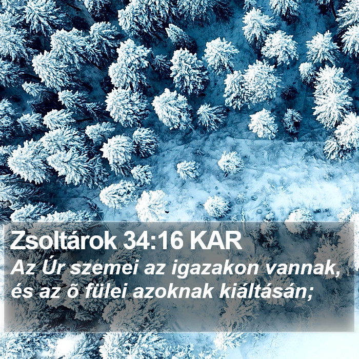 Zsoltárok 34:16 KAR Bible Study