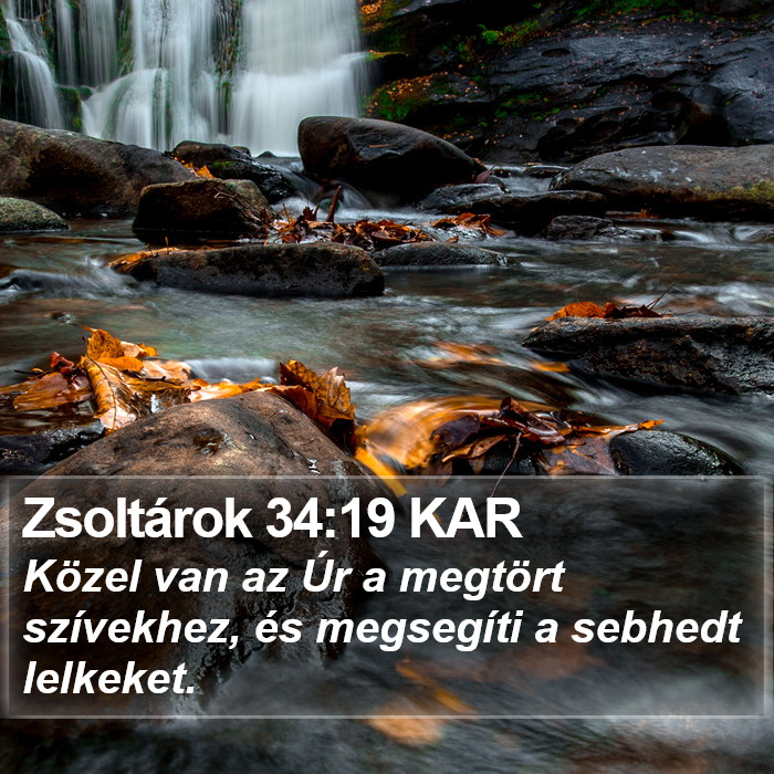 Zsoltárok 34:19 KAR Bible Study