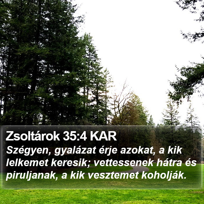 Zsoltárok 35:4 KAR Bible Study