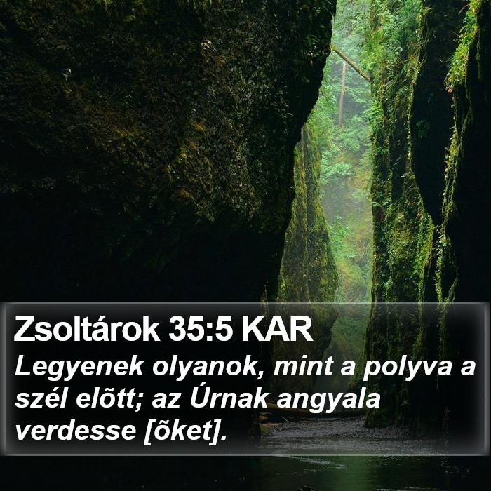 Zsoltárok 35:5 KAR Bible Study