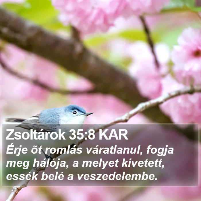 Zsoltárok 35:8 KAR Bible Study