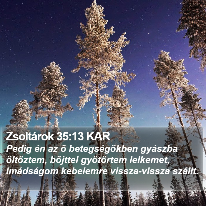 Zsoltárok 35:13 KAR Bible Study