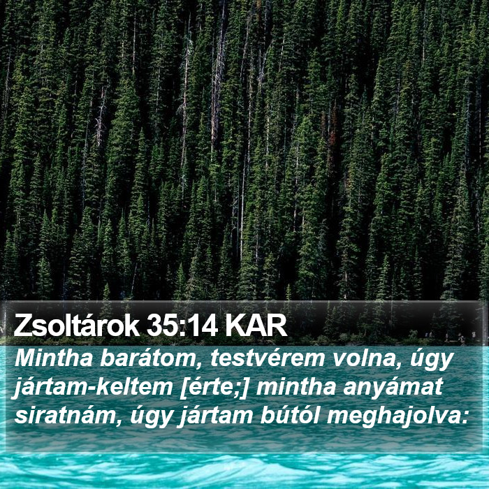 Zsoltárok 35:14 KAR Bible Study