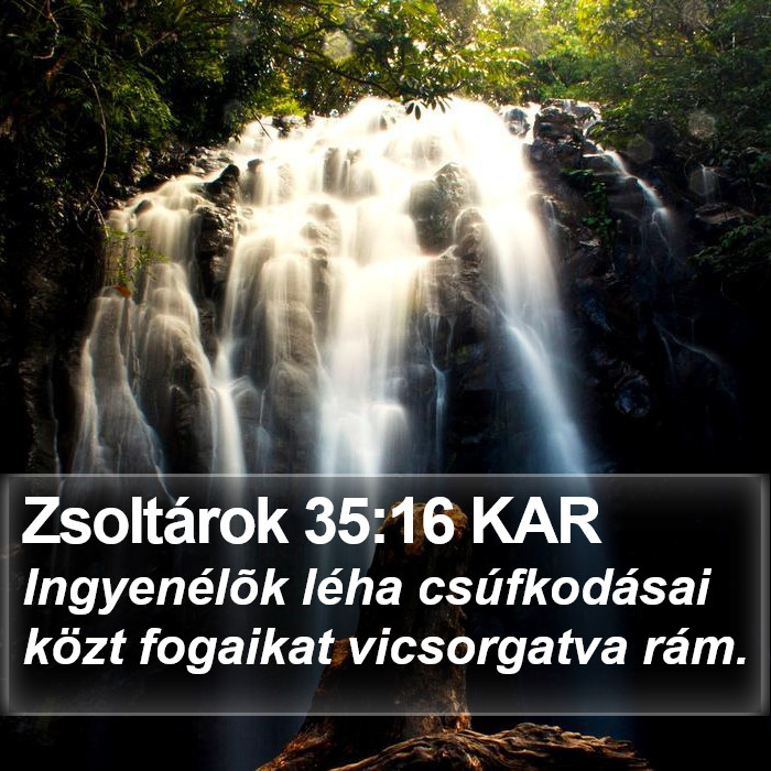 Zsoltárok 35:16 KAR Bible Study