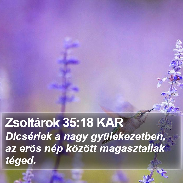 Zsoltárok 35:18 KAR Bible Study