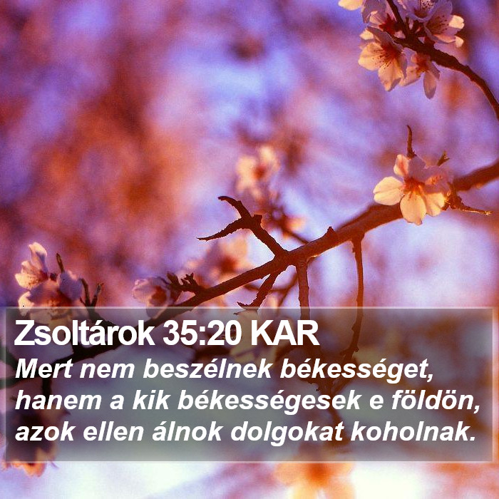 Zsoltárok 35:20 KAR Bible Study