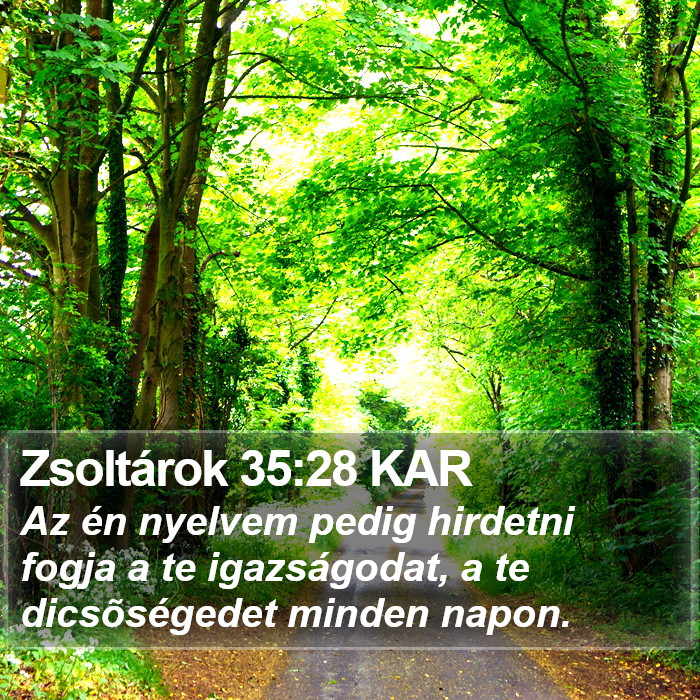 Zsoltárok 35:28 KAR Bible Study