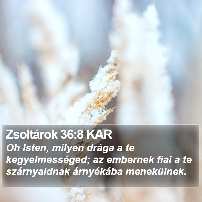 Zsoltárok 36:8 KAR Bible Study