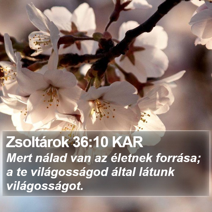 Zsoltárok 36:10 KAR Bible Study