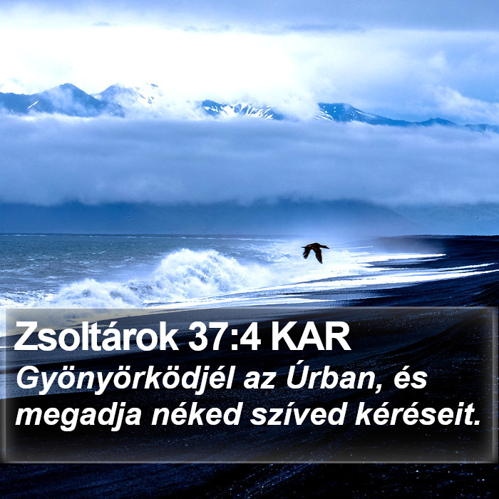 Zsoltárok 37:4 KAR Bible Study