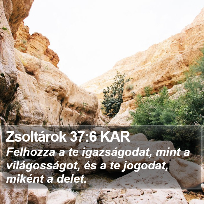 Zsoltárok 37:6 KAR Bible Study