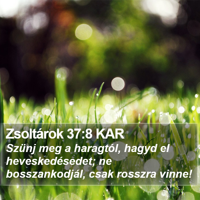 Zsoltárok 37:8 KAR Bible Study