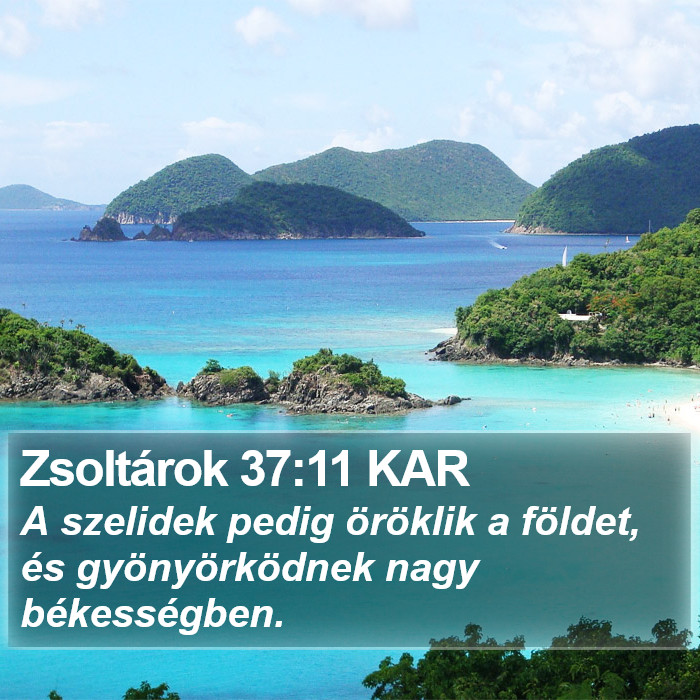 Zsoltárok 37:11 KAR Bible Study