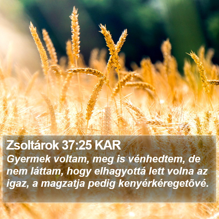 Zsoltárok 37:25 KAR Bible Study