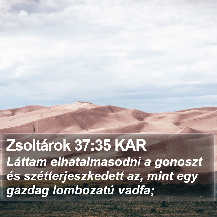 Zsoltárok 37:35 KAR Bible Study