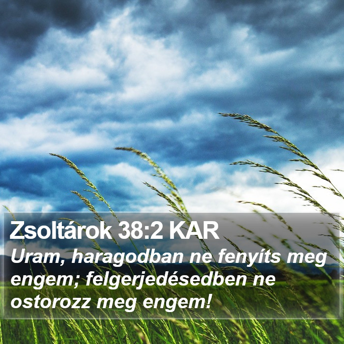 Zsoltárok 38:2 KAR Bible Study