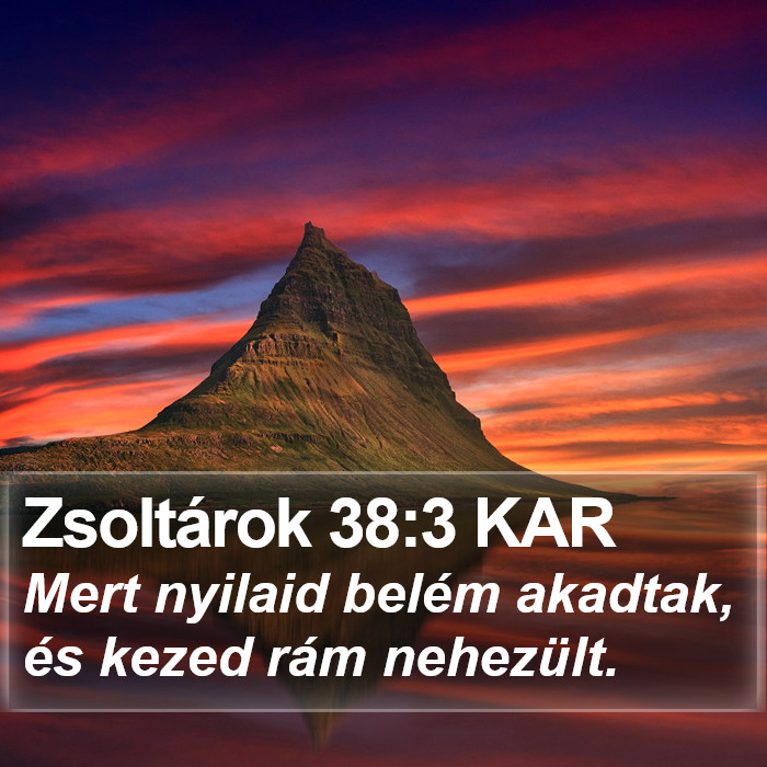 Zsoltárok 38:3 KAR Bible Study