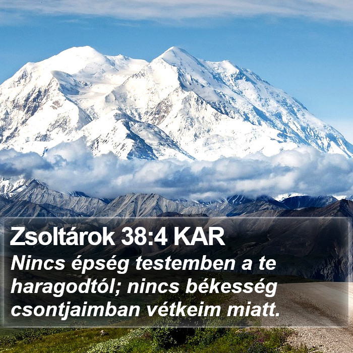 Zsoltárok 38:4 KAR Bible Study