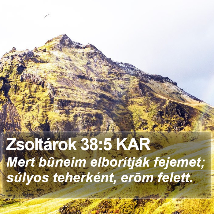 Zsoltárok 38:5 KAR Bible Study