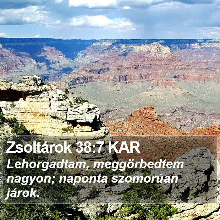 Zsoltárok 38:7 KAR Bible Study