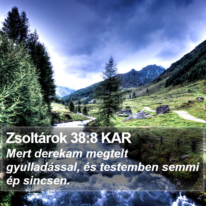 Zsoltárok 38:8 KAR Bible Study