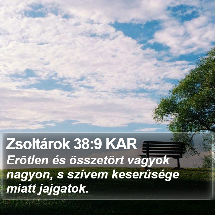 Zsoltárok 38:9 KAR Bible Study