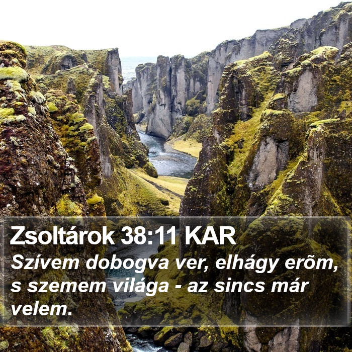 Zsoltárok 38:11 KAR Bible Study