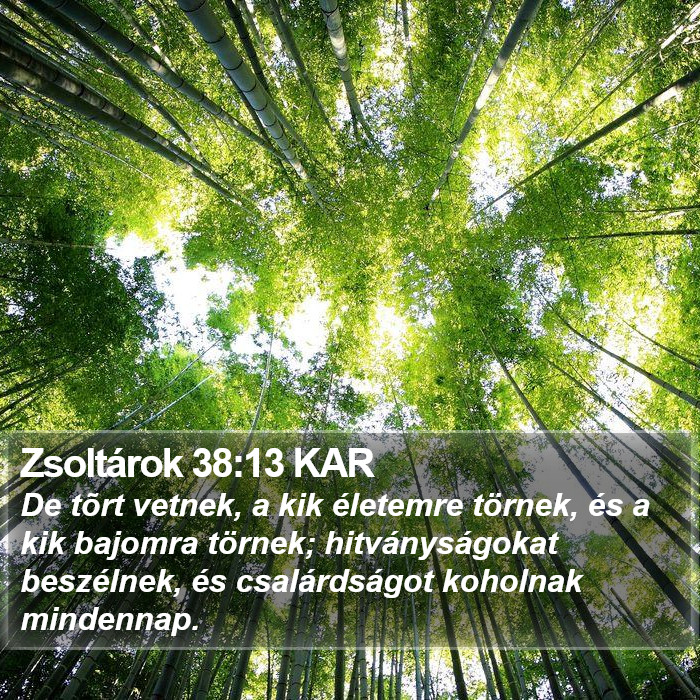 Zsoltárok 38:13 KAR Bible Study