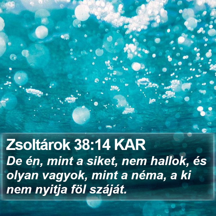 Zsoltárok 38:14 KAR Bible Study