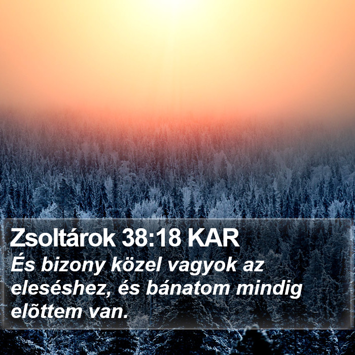 Zsoltárok 38:18 KAR Bible Study