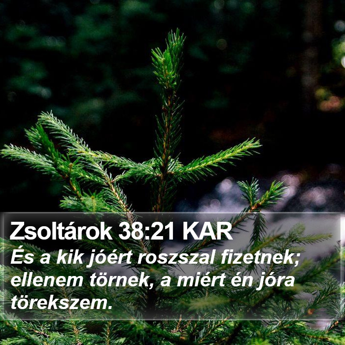 Zsoltárok 38:21 KAR Bible Study